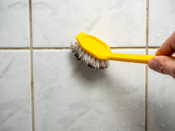 Best Post-Flood Mold Remediation in Sans Souci, SC