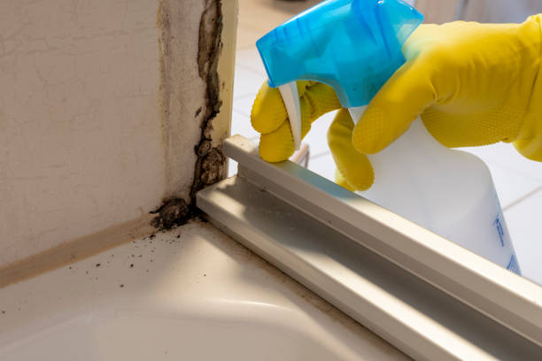 Sans Souci, SC Mold Remediation Company
