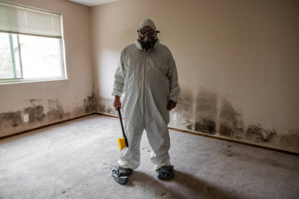 Best Mold Testing and Inspection Services in Sans Souci, SC
